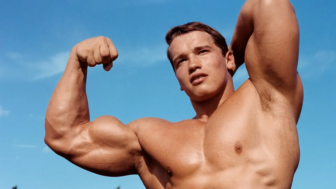 Arnold Schwarzenegger: Sein neues Buch ist eine ganz starke Nummer